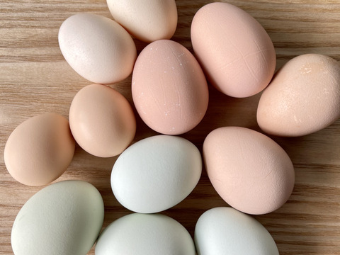 いろいろ卵食べ比べ4個セット