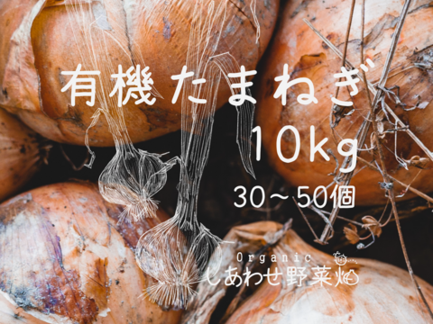 火の通りが早い　有機JASたまねぎ10kg