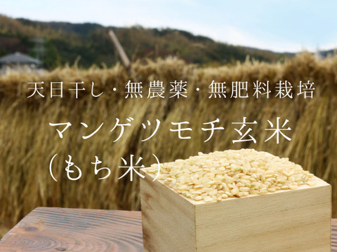 2025年産もち米マンゲツモチ玄米5kg【天日干し・無肥料・栽培期間中農薬不使用】