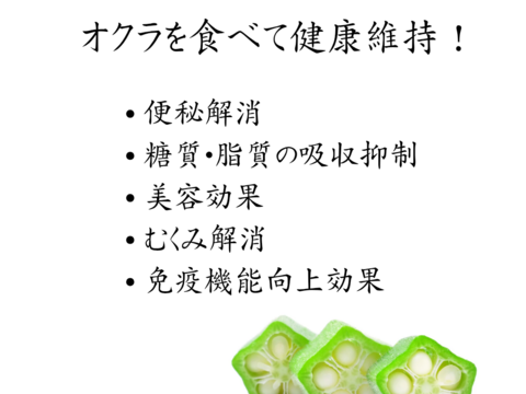 熊本県八代産　朝採おくら　１kg　100本以上