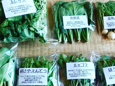 【自然栽培】【5種】南信州/飯田から旬の野菜セット