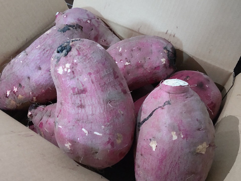 【訳アリ】さつまいも10kg！紅はるか・S～3Lサイズ詰め合わせ