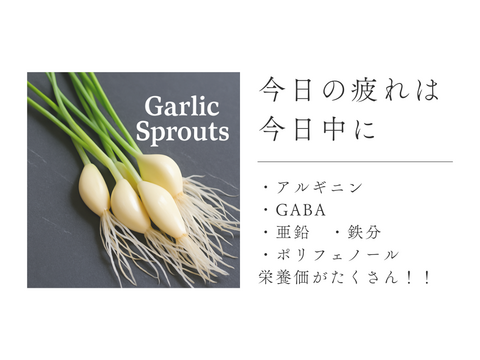 夕方の電池切れに…洗わず2～5分　根っこまで食べれるサプリ替わり！２０本レシピ付き