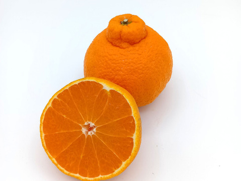 デコがポイント！不知火【小玉サイズ 贈答用 2.1～2.2kg】