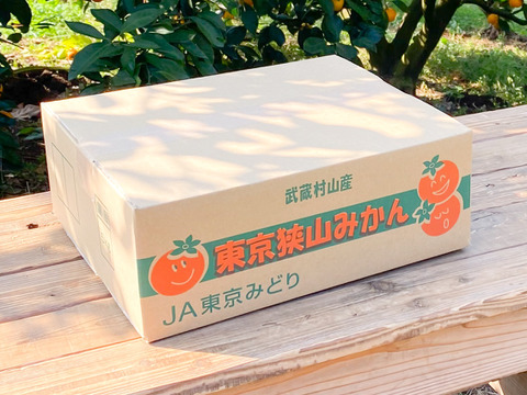 【大粒！】幻の東京狭山みかん・2Lサイズ10kg【溢れる果汁】