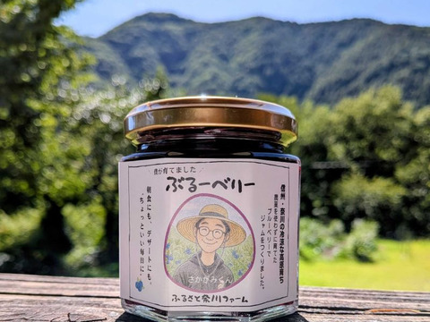 栽培期間中農薬不使用！【ブルーベリージャム190ｇ】×3