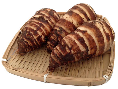 数量限定早い者勝ち！煮物や鍋料理で！伝統的京野菜 海老芋 子芋LMサイズバラ2kg