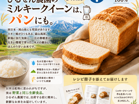 令和8年新米 ミルキークイーン 白米 10kg お米パンが作れるレシピ付き