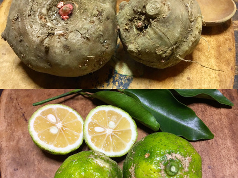 ジュース1本おまけ付き！【こんにゃく作り方付き】ねこ農園の青ゆず500g＆こんにゃく芋500g程セット【農薬不使用】