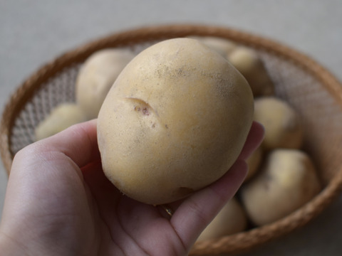 淡路島産🧅🥔セット✨約5kg
『玉ねぎ約4kg』と『新じゃがいも約1kg』📦✨