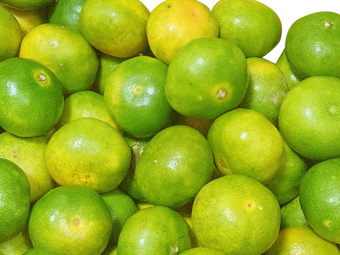 小玉！有田みかん 5kg【わけあり】