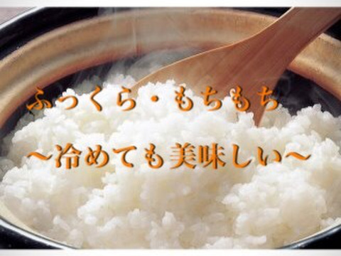 ✳︎新米✳︎令和7年度産★季節の野菜プレゼント付★【白米3キロ】クラフト袋入　　ふっくら・もちもち✴︎冷めても美味しい〜　【深田のお米】千葉県産コシヒカリ