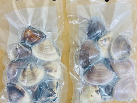 液体冷凍はまぐり　1個40-60 g　   約500g×4パック