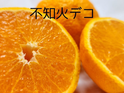 箱込約2㌔　柑橘あじくらべ 旬の美味しい果実があじくらべ