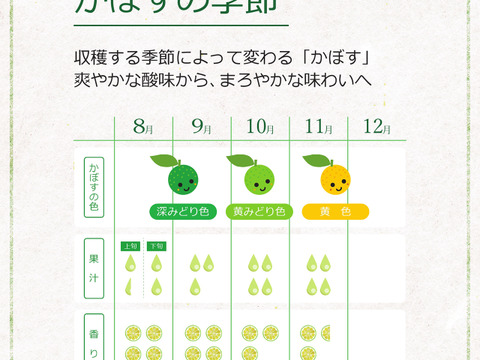【お徳用・訳アリ品】超便利な種無しかぼす（10kg）