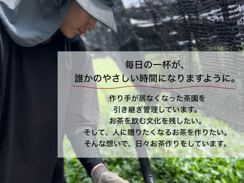 ＊2026年新茶＊【王道の日本茶!】爽やかな風味とスッキリとした苦味！ 特上煎茶　茶葉　100g(約50杯分)　農薬・化学肥料・除草剤・畜産堆肥不使用　宇治茶100%