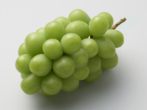 【厳選品】001 SHINE MUSCAT（9粒）