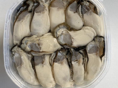 『小粒剥き身牡蠣』パック詰め（25粒前後）約500g（日付指定可能）（生食用）