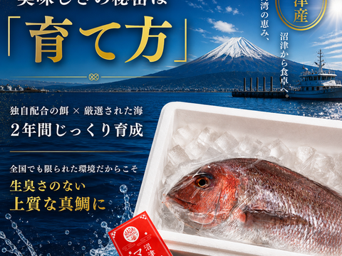 【父の日ギフト】沼津産真鯛　お刺身用柵　130g×2袋（皮引き済み）