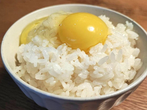 卵かけご飯セット（有機米てんたかく2㎏＋平飼い卵10個）