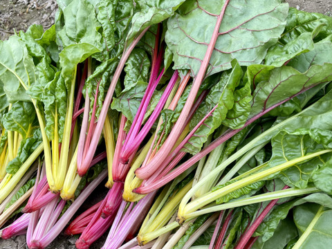 農薬・化学肥料不使用♪野菜セット7種類 個包装