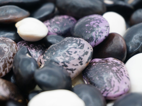 北海道産”彩り”花豆 300ｇ 白・紫・黒のミックス花豆
