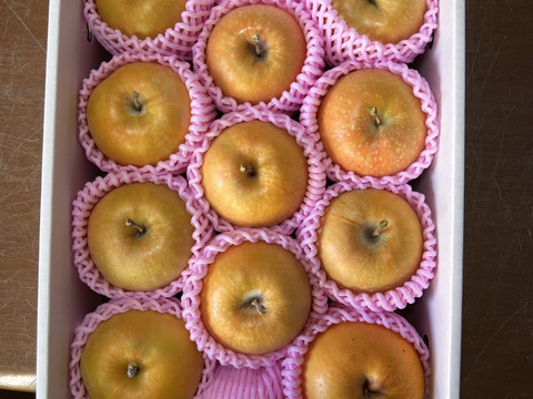 [2026年販売中]切ってビックリ！生でもお菓子にしても美味しい！
長野県産　赤果肉りんご　なかののきらめき　3kg（約9~12個）