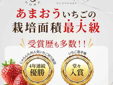 いちご うるベリー220g×2パック【冬ギフト】
