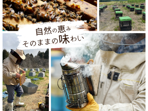 【母の日ギフト】国産生はちみつギフトセット　80ｇ3本　おっしゃれ名ギフトボックス入り　母の日カード付　アカシア　ナッツの蜂蜜漬け　ケンポナシ