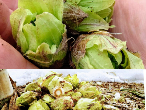 雪国里山の暖冬7点セット