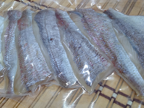 小泊産！【冷凍】チダイ生干し250g×3袋 (骨抜き)
焼くだけ！