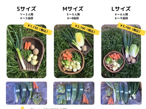 【自然栽培】お試し『まんま野菜の宝箱L+M』