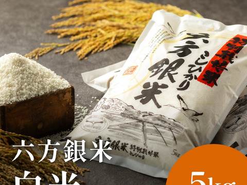 コウノトリ舞いおりるコシヒカリ　特別栽培米　六方銀米　白米　5ｋｇ