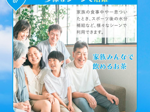 【メール便・単品】＼2ℓに1包／水出しeveryday 深蒸し茶 10ｇ×31ｐ 静岡茶 牧之原茶 夏 冷茶 ボトル 冷蔵庫