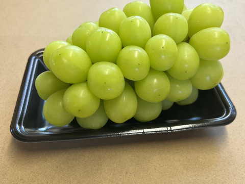 【家庭用】シャインマスカット の2房 糖度１８度越え 皮ごとガブっと 秋田県産 ハロウィン お菓子 ケーキ プレゼント 誕生日  ギフト