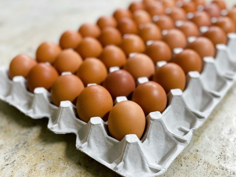 味と鮮度のこだわり卵！宮たま(赤)×40個