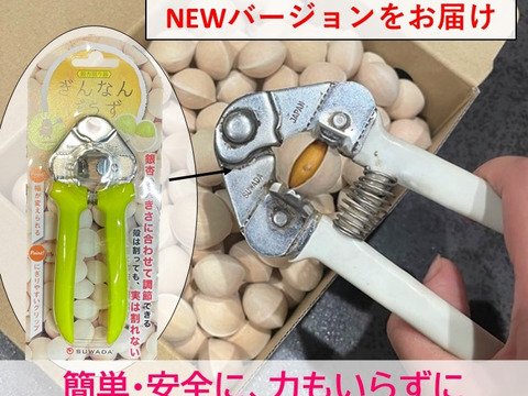 銀杏の王様【藤九郎】大玉３Ｌサイズ ＆《割り器》セット