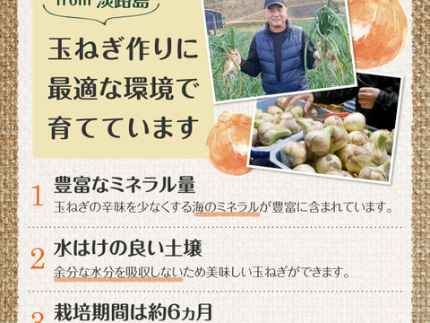 淡路島 新玉ねぎ 甘い 玉葱 3キロ