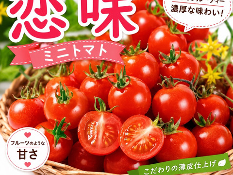 【期間限定】ミニトマト恋味‼️お子様にも大人気‼️1.2kg入‼️