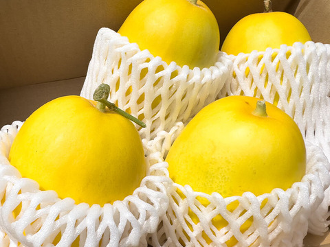 懐かしいあの味　’金太郎メロン’　復活！