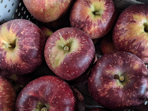 【母の日ギフト】三種の葉とらずりんごジュース飲み比べギフトボックス　熨斗可能