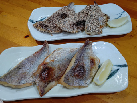 小泊産！【冷凍】チダイ生干し250g×3袋 (骨抜き)
焼くだけ！