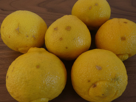 訳あり はるか ５ｋｇ　M玉中心