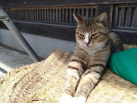 【米冠位】　立神米コシヒカリ　コンテスト受賞米