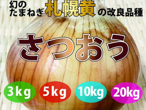 幻の玉ねぎ「札幌黄」の改良品種「さつおう」20kg