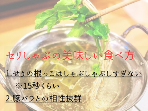 4〜5人前】（春セリ）根まで美味しいセリのしゃぶしゃぶ 冬の