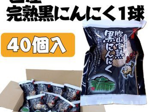 ご挨拶代わりのプチギフトに！国産黒にんにく１球入り　40袋セット