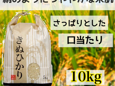 炊きあがりの輝きとぱらっとした口当たり！ 　新米　御船山キヌヒカリ 10kg　令和4年度産　和歌山　あさひ農園