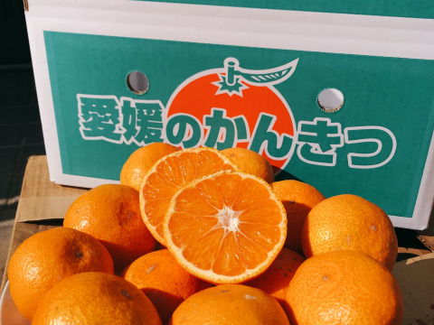 【訳あり】愛媛県産　島育ち　完熟早生みかん！！太陽と潮風の早生みかん5kg（箱込み）