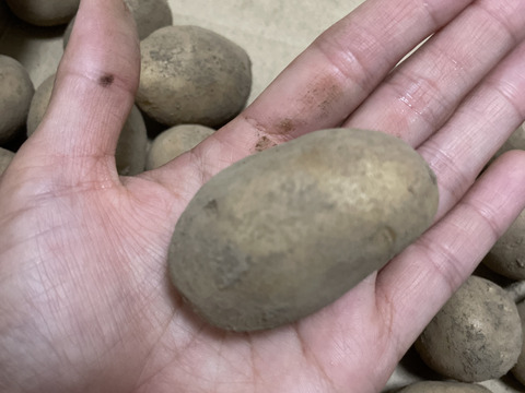 メークイン　70グラム前後小玉　1キロ